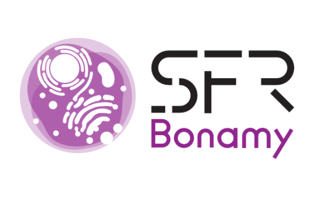 photo (635 x 400 px) (2)